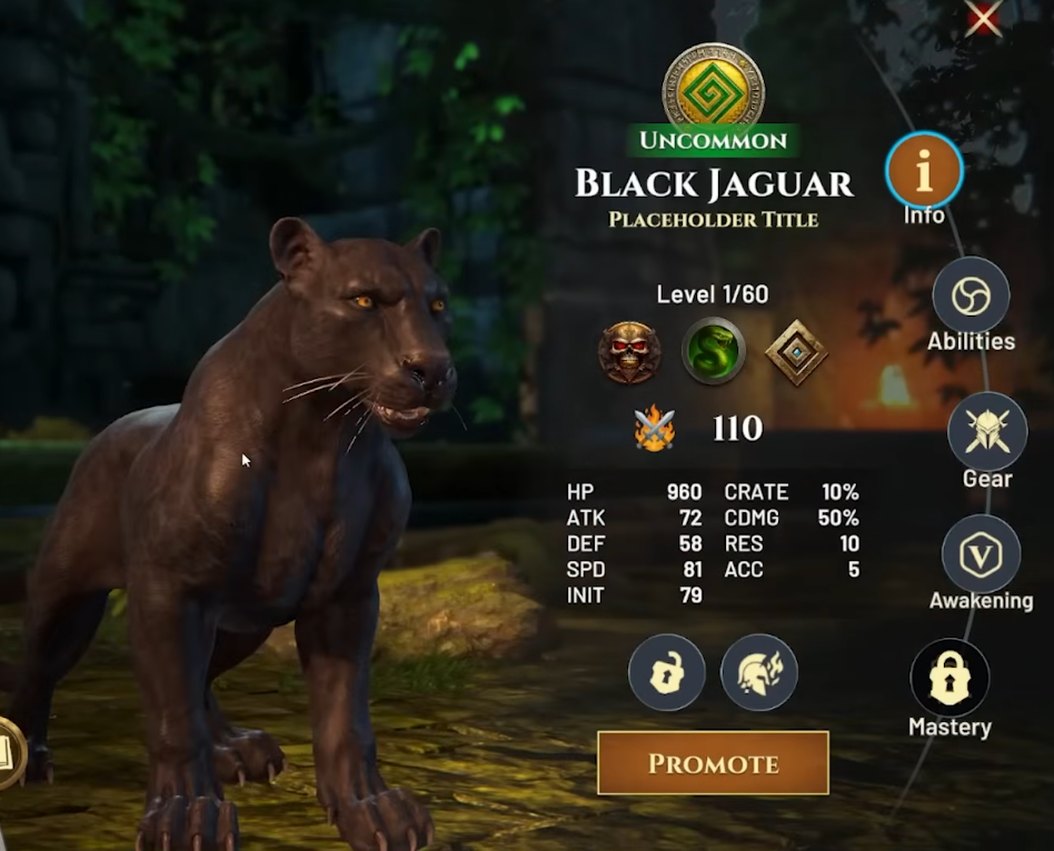 Black Jaguar