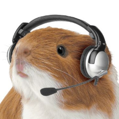 matthewgraftondesign_gmail_com