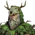 Druid