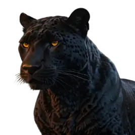 Black Jaguar